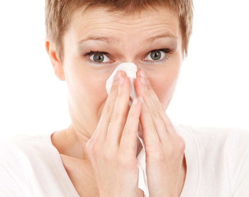 The one thing you’ve NEVER been told about your hayfever