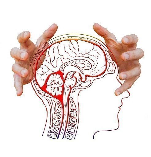 The Gut-Brain Connection: How To Feed Your Brain