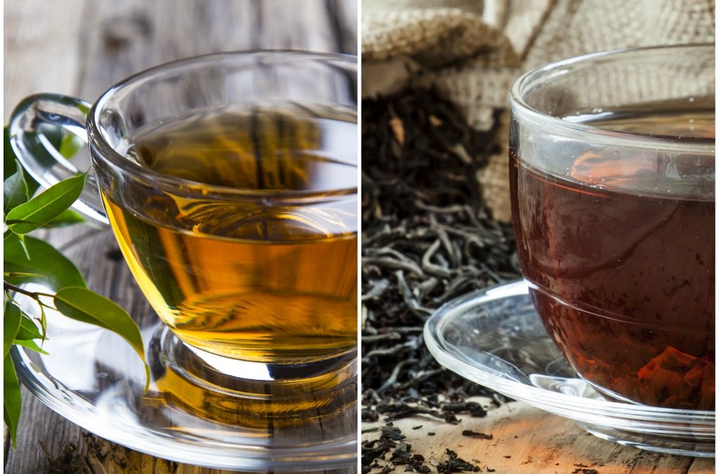 Green Tea vs. Black Tea